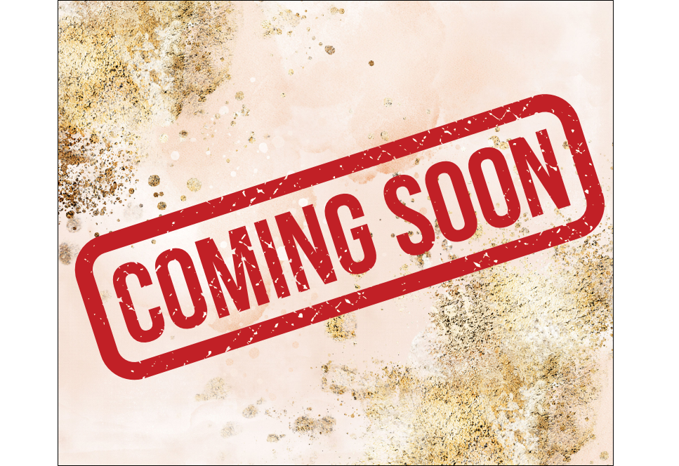 Car Coaster Set of 2