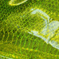 Personal pouch - Vinyl/Jelly Snakeskin hologram