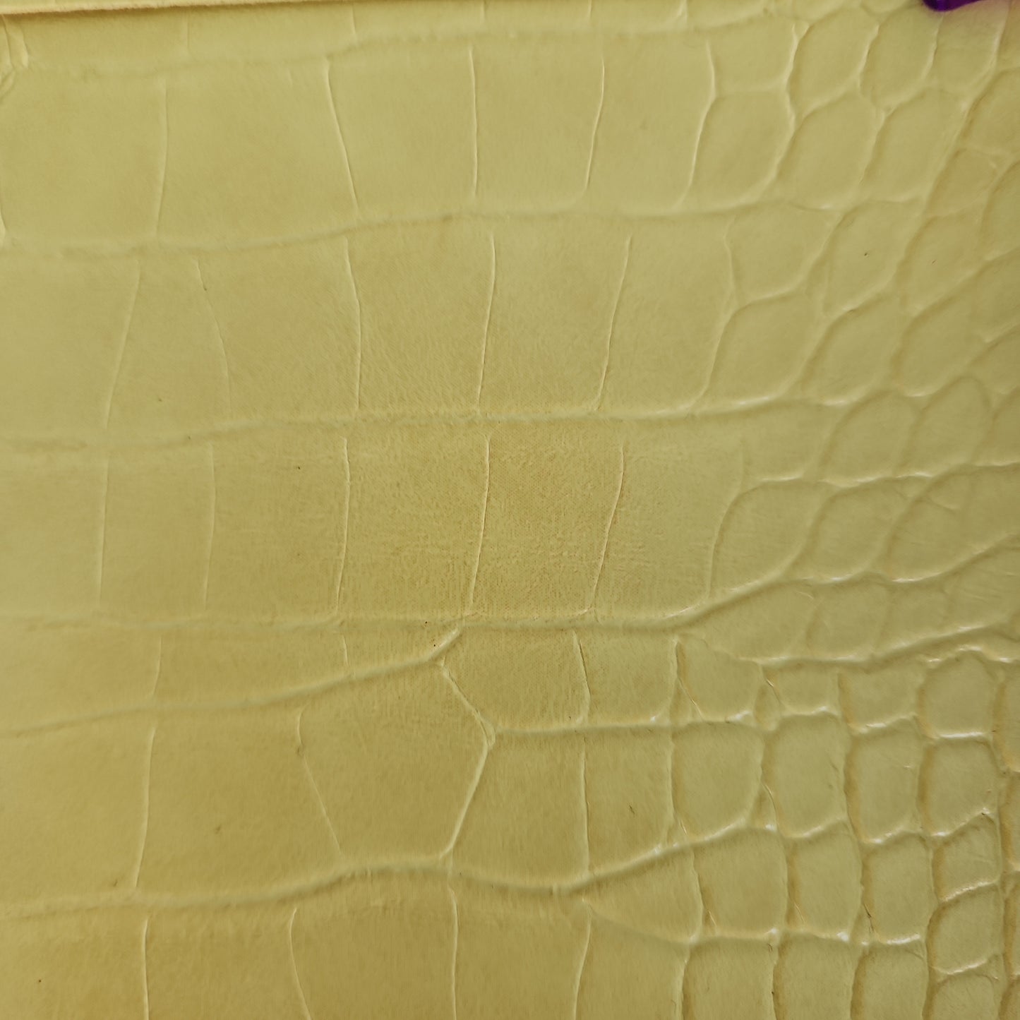 Essential Mini Clutch  - Gator